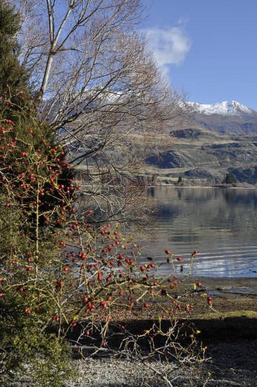 Lansdown Villa Apartments Wanaka Exteriér fotografie